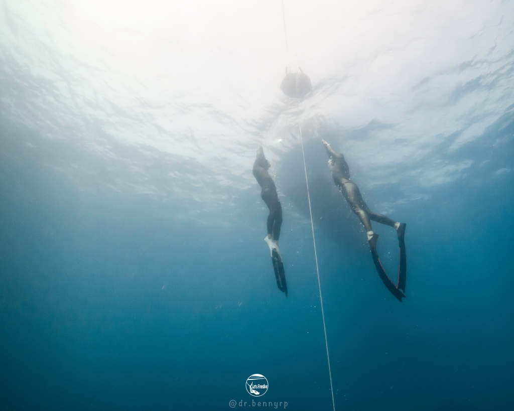 letsfreedive diving freedive freediving school education